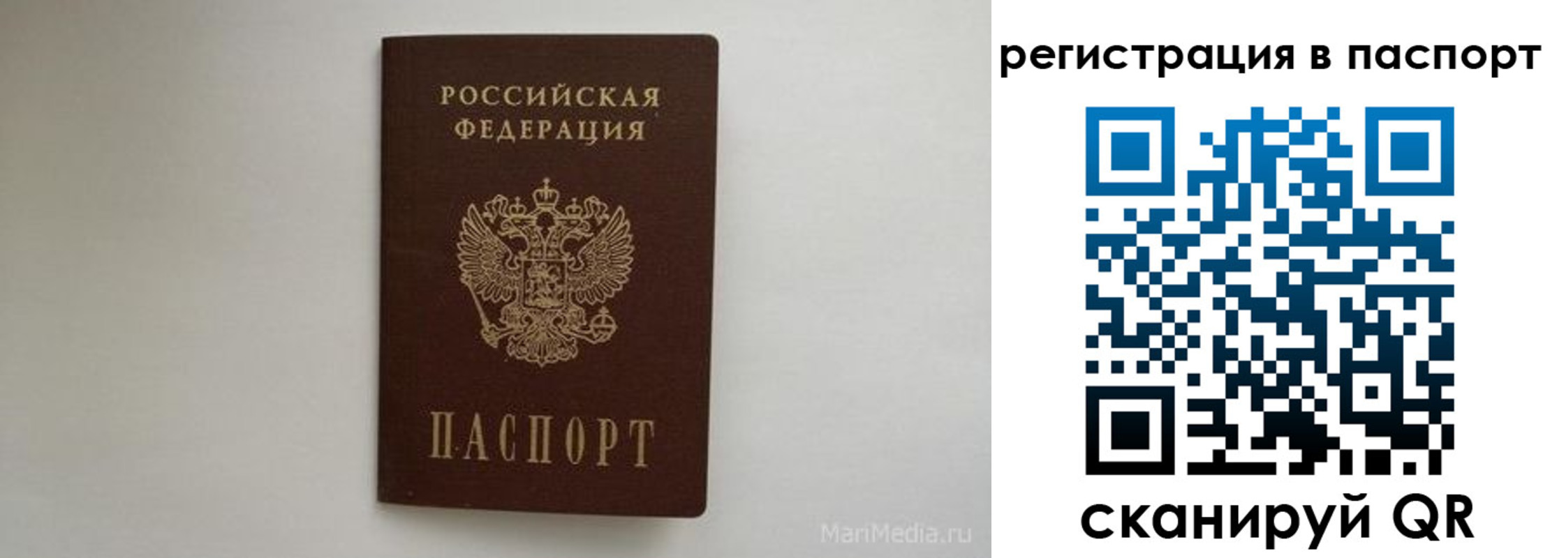 прописка в Белой Холунице